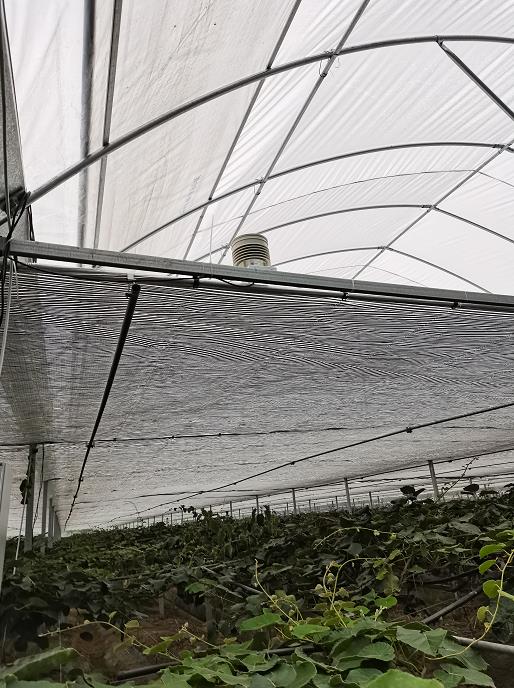 溫室控制柜及自動(dòng)化系統(tǒng)圖片2 溫室控制柜及自動(dòng)化系統(tǒng)圖片2