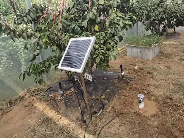 管式土壤墑情監(jiān)測站圖片3 管式土壤墑情監(jiān)測站圖片3