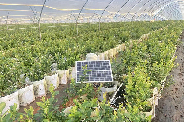 智慧農(nóng)業(yè)氣象站圖片1 智慧農(nóng)業(yè)氣象站圖片1