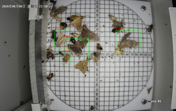 蟲情測(cè)報(bào)燈圖片3 蟲情測(cè)報(bào)燈圖片3