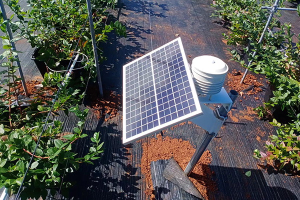 農(nóng)田小氣候自動(dòng)站圖片1 農(nóng)田小氣候自動(dòng)站圖片1