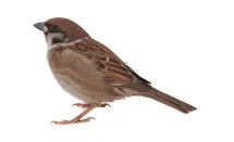 1709185874374628.png 1709185874374628.png