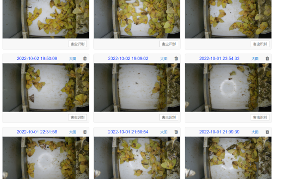 1709185907962933.png 1709185907962933.png