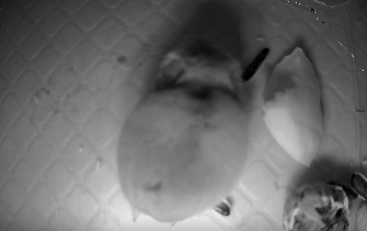 1709186510641406.png 1709186510641406.png