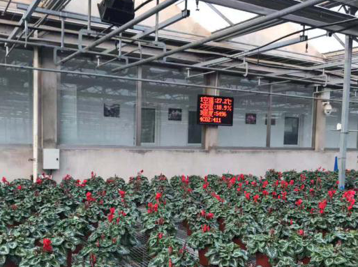 智慧大棚環(huán)境監(jiān)測(cè)系統(tǒng)圖片1 智慧大棚環(huán)境監(jiān)測(cè)系統(tǒng)圖片1