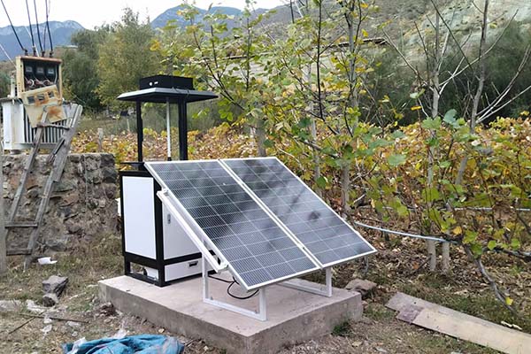 蟲情監(jiān)測圖片2 蟲情監(jiān)測圖片2