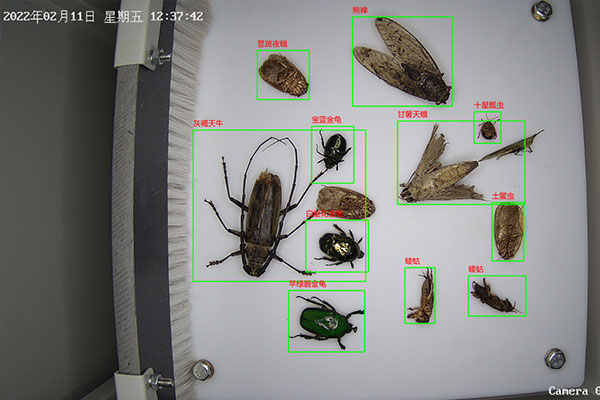 蟲情測(cè)報(bào)設(shè)備圖片2