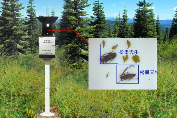 天牛監(jiān)測設(shè)備圖片2 天牛監(jiān)測設(shè)備圖片2