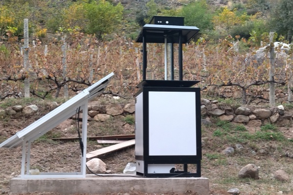 蟲情測報燈圖片3