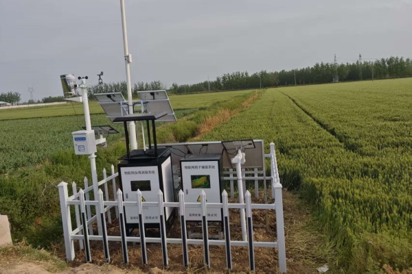 智慧蟲情監(jiān)測系統(tǒng)現(xiàn)場安裝圖片1 智慧蟲情監(jiān)測系統(tǒng)現(xiàn)場安裝圖片1