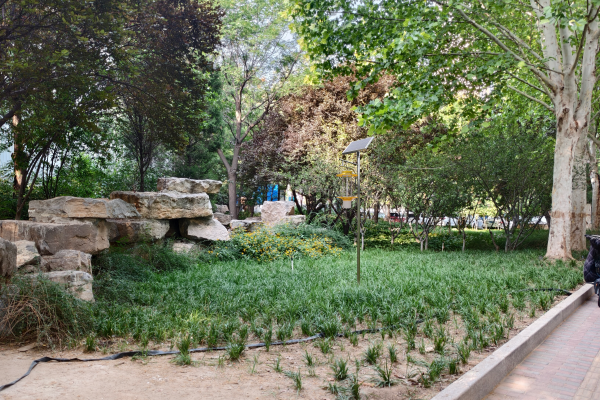 物聯(lián)網(wǎng)殺蟲(chóng)燈圖片4