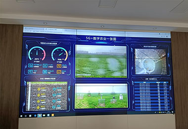 2021河南鶴壁?？h國(guó)營(yíng)農(nóng)場(chǎng)